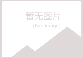 曲阜白山化学有限公司